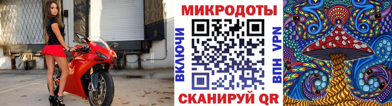 Псилоцибиновые грибы мухоморы  Крым 